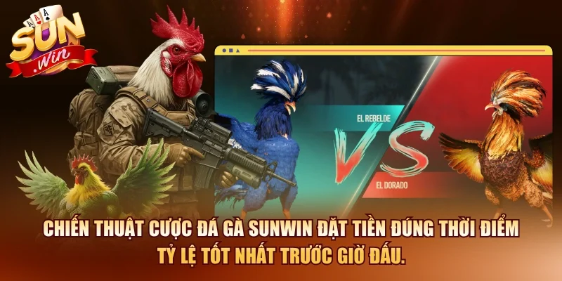 Bí Quyết Xem Đá Gà Mạng Và Cách Cược Hiệu Quả 2026 4 Sunwin Chiến thuật cược đá gà SUNWIN đặt tiền đúng thời điểm tỷ lệ tốt nhất trước giờ đấu.